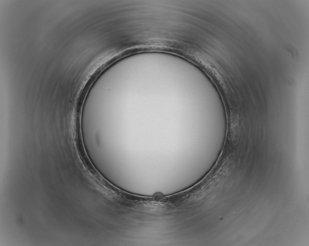 X0000112981085200909241215