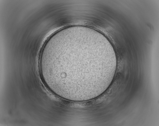 X0000112981086200909241215