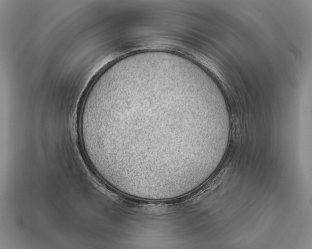 X0000112981087200909241215