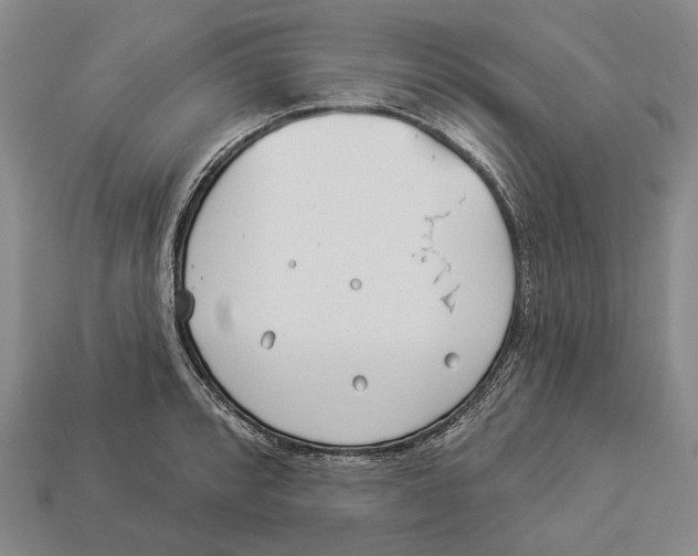 X0000112981088200909241215