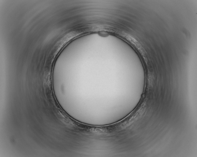X0000112981089200909241215