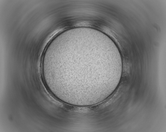 X0000112981090200909241215