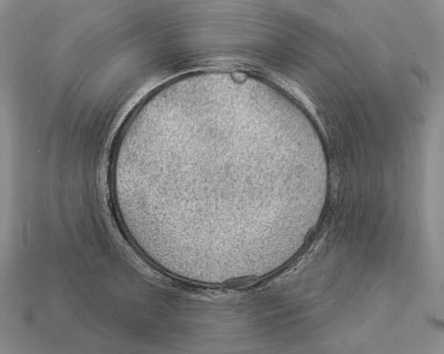 X0000112981091200909241215