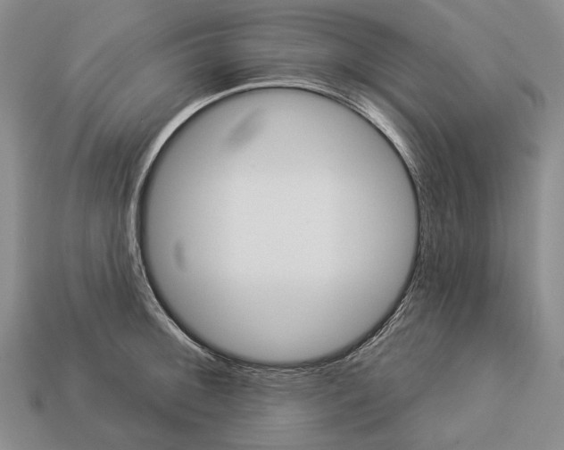 X0000112981092200909241215