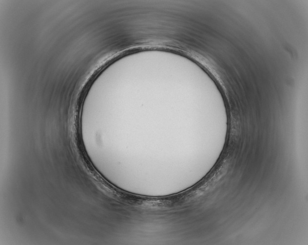 X0000112981093200909241215