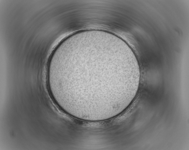 X0000112981094200909241215
