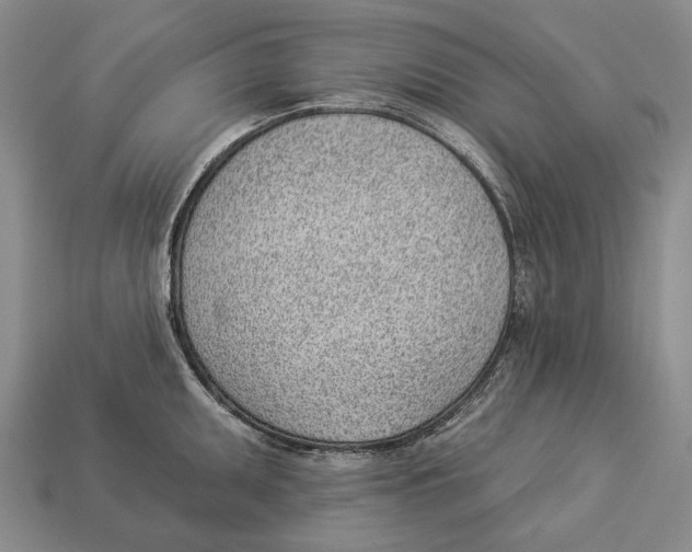 X0000112981095200909241215