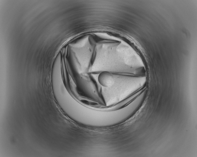 X0000112981097200909241215