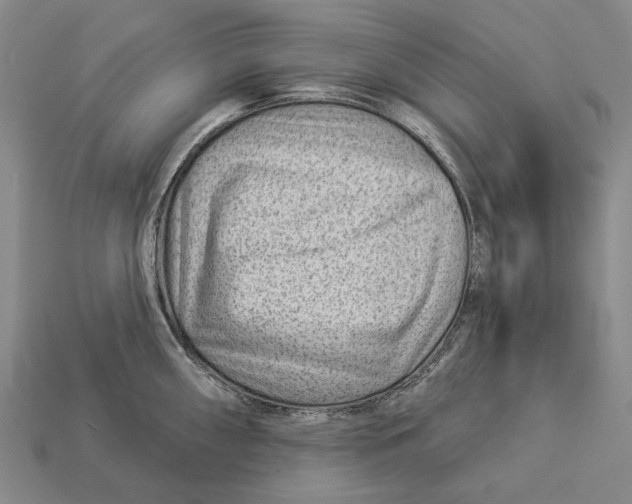 X0000112981098200909241215