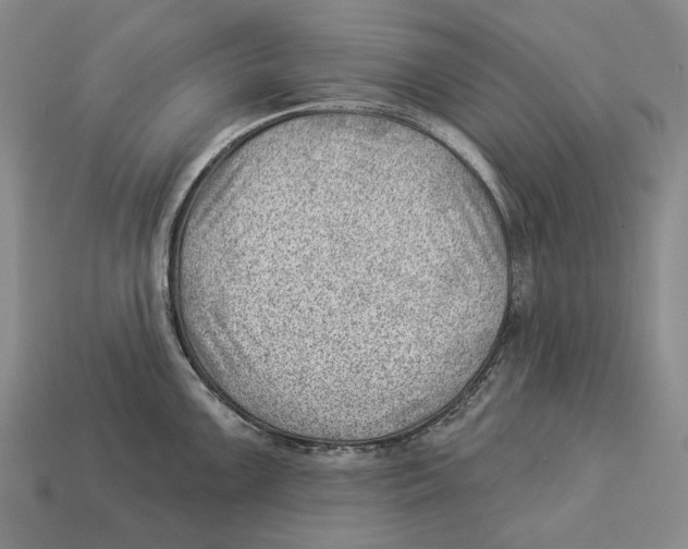 X0000112981099200909241215