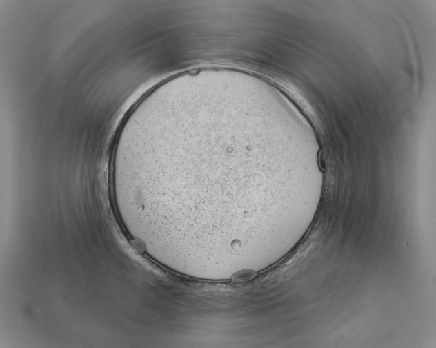 X0000112981100200909241215