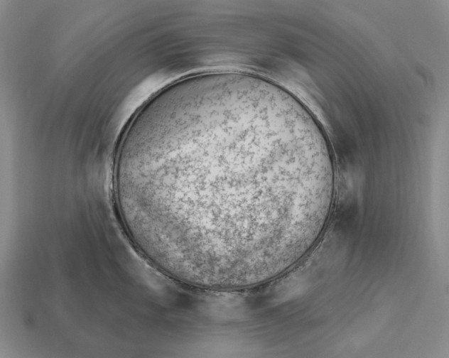 X0000112981101200909241215