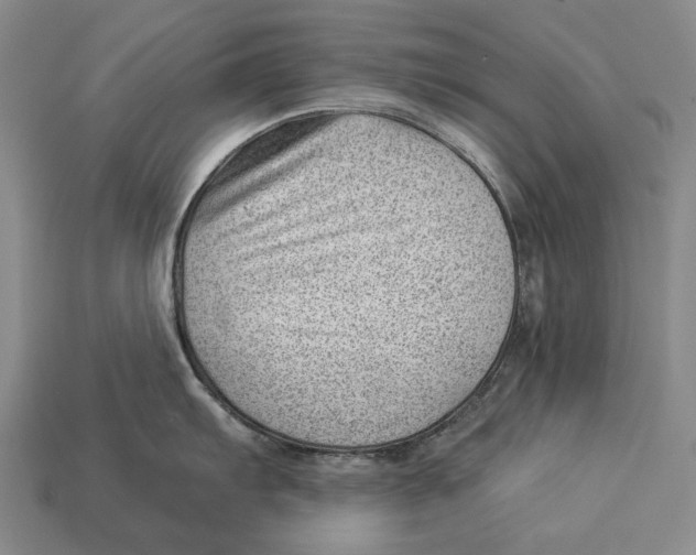 X0000112981103200909241215