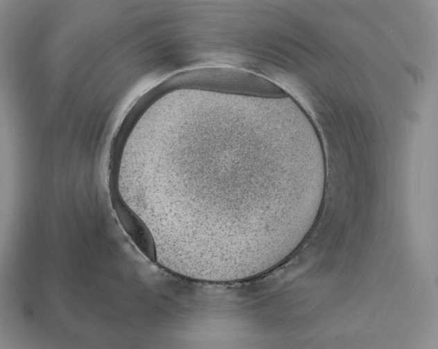 X0000112981104200909241215