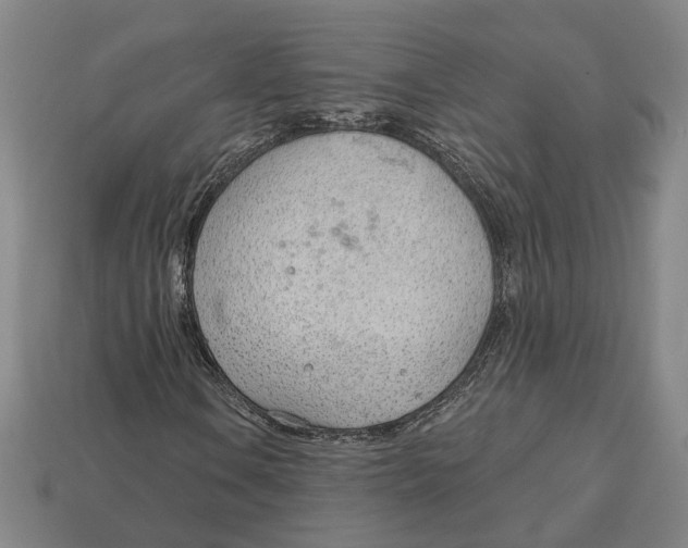 X0000112981106200909241214
