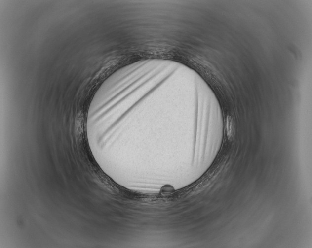 X0000112981107200909241214