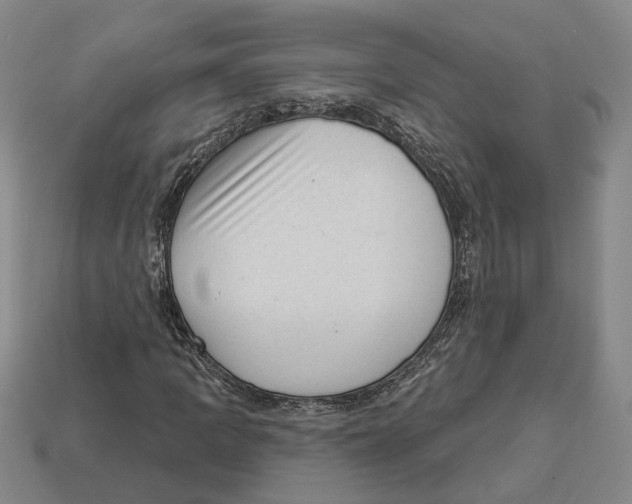 X0000112981109200909241214