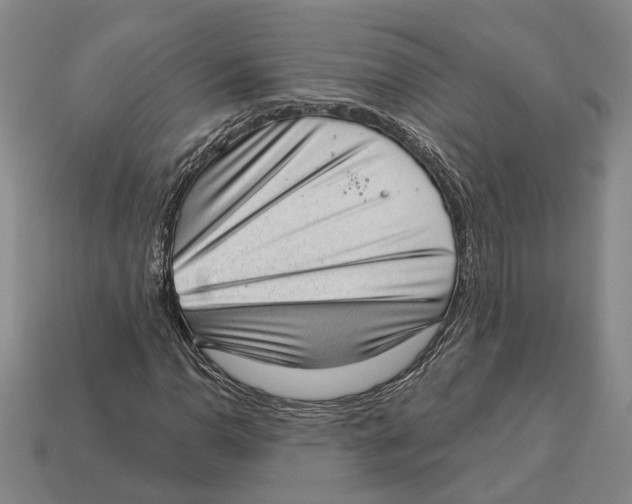 X0000112981110200909241214