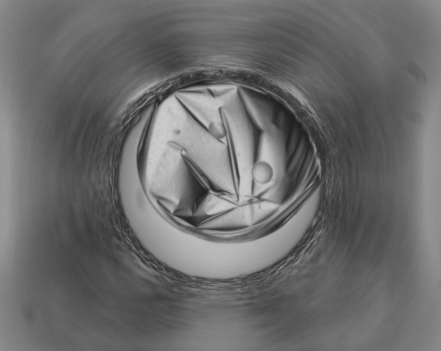 X0000112981112200909241214