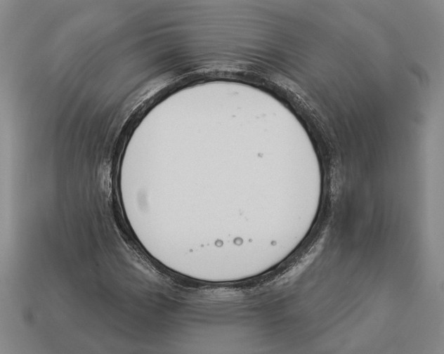 X0000112981113200909241214