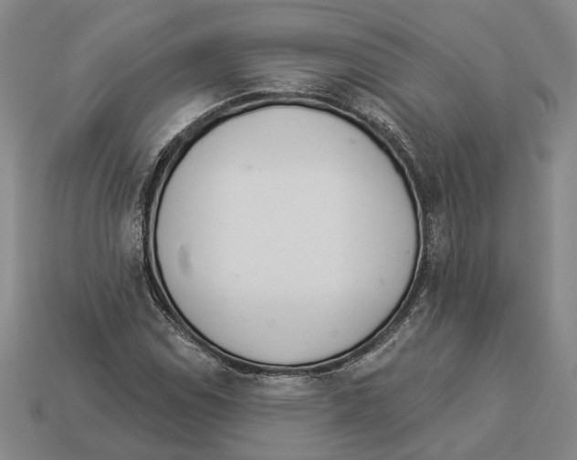 X0000112981114200909241214