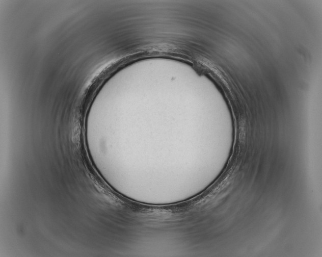 X0000112981115200909241214