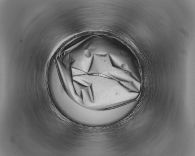 X0000112981116200909241214