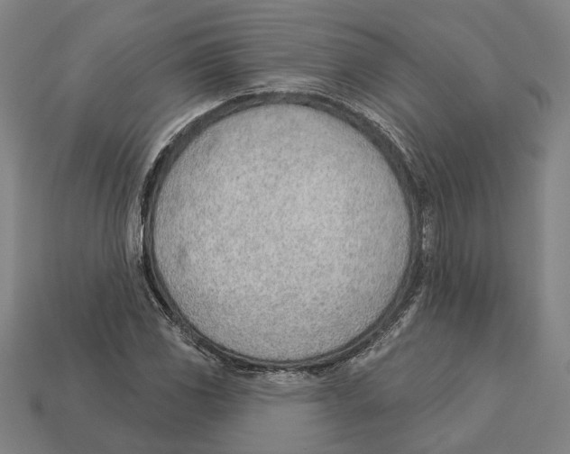 X0000112981117200909241214