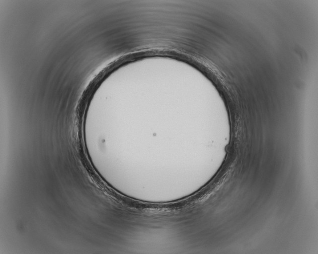 X0000112981118200909241214