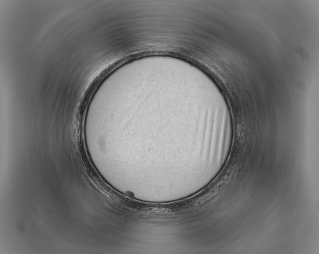 X0000112981119200909241214