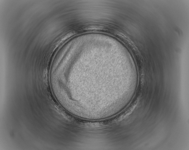 X0000112981121200909241214