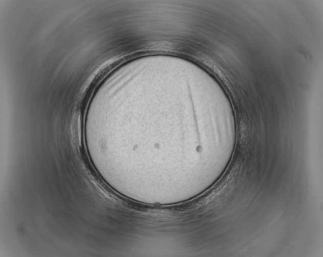 X0000112981123200909241215