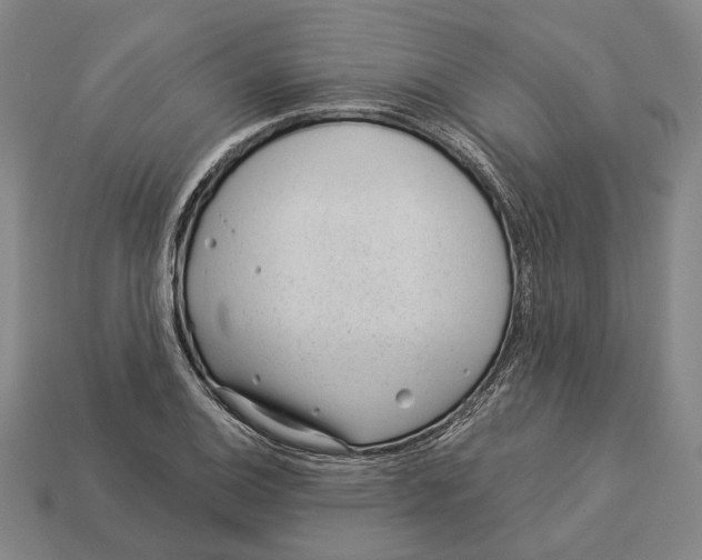 X0000112981124200909241215