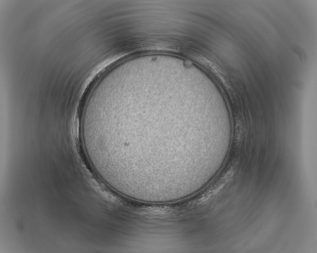 X0000112981125200909241215