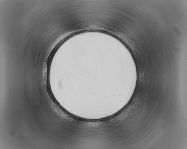 X0000112981126200909241215