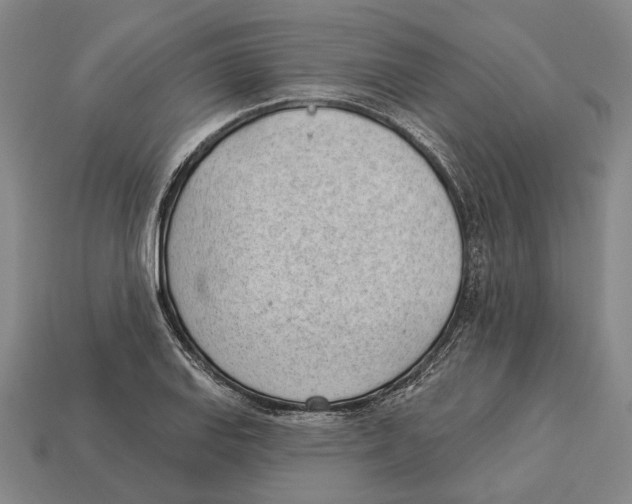 X0000112981127200909241215