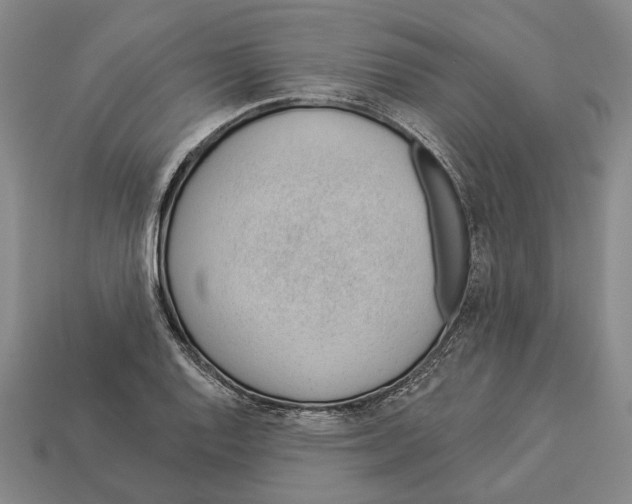 X0000112981128200909241215