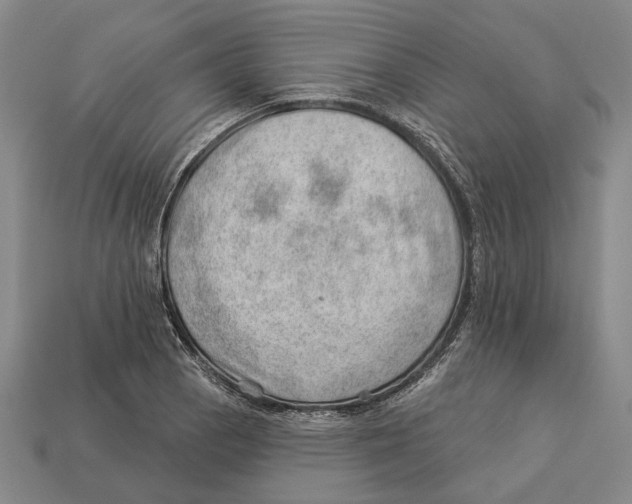 X0000112981129200909241215