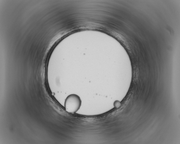 X0000112981130200909241215