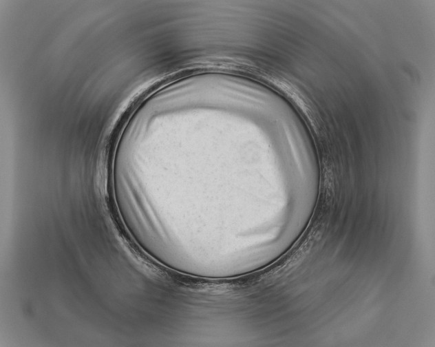 X0000112981131200909241215