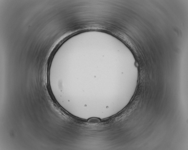 X0000112981132200909241215