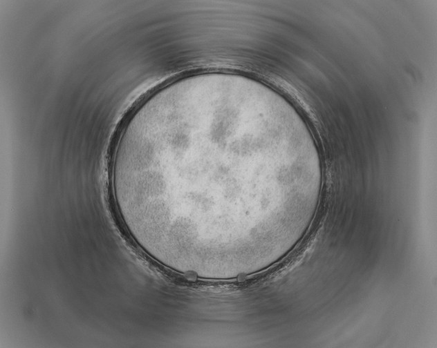 X0000112981133200909241215