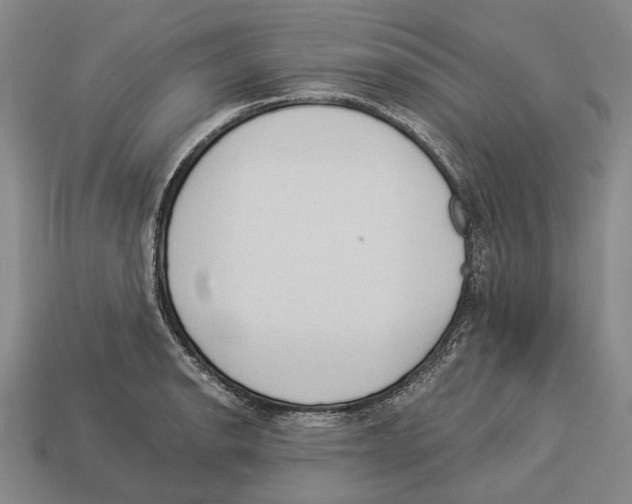 X0000112981134200909241215