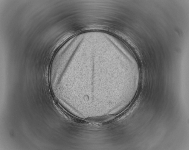 X0000112981137200909241215