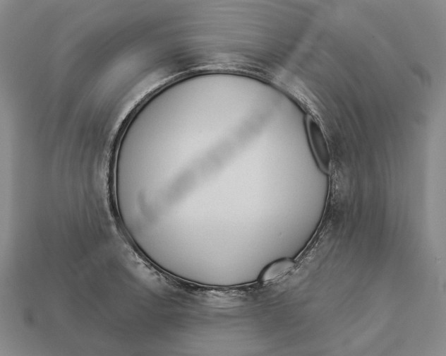 X0000112981138200909241215