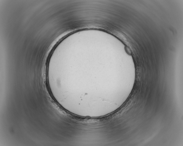 X0000112981140200909241215