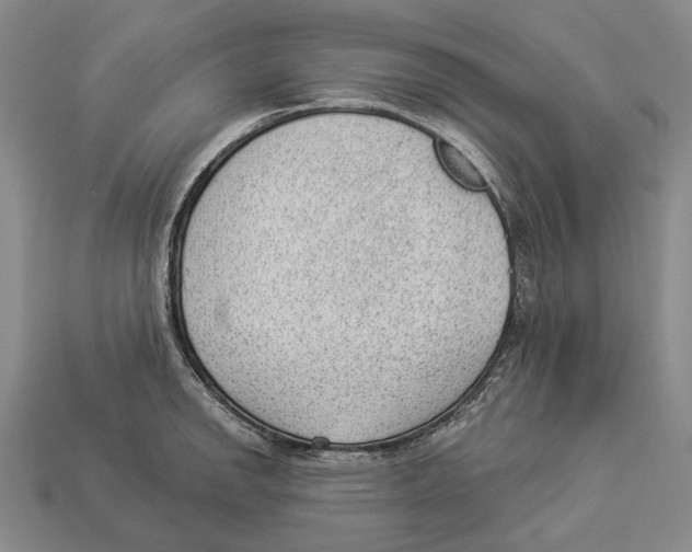 X0000112981142200909241215