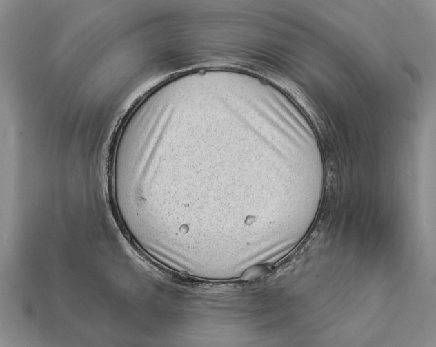 X0000112981143200909241215