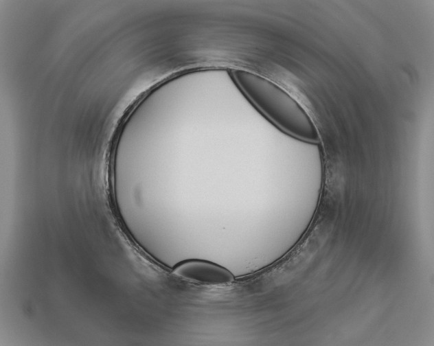 X0000112981144200909241215