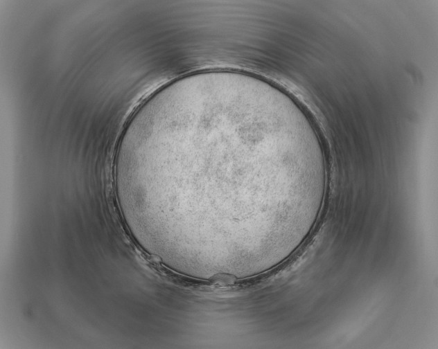 X0000112981145200909241215